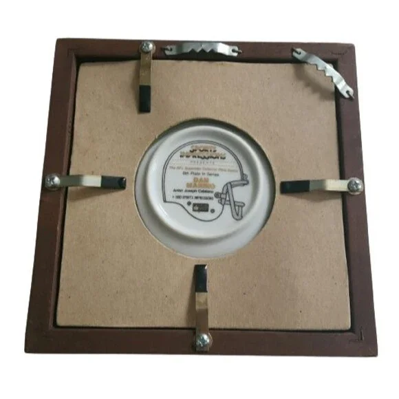 1990 NFL Licensed Dan Marino Collector Plate Joseph Catalano Sports Expressions - Picture 4 of 4